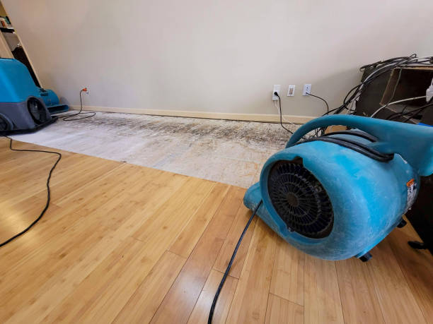 Professional Burst Pipe Water Damage technician working in West Point, NE